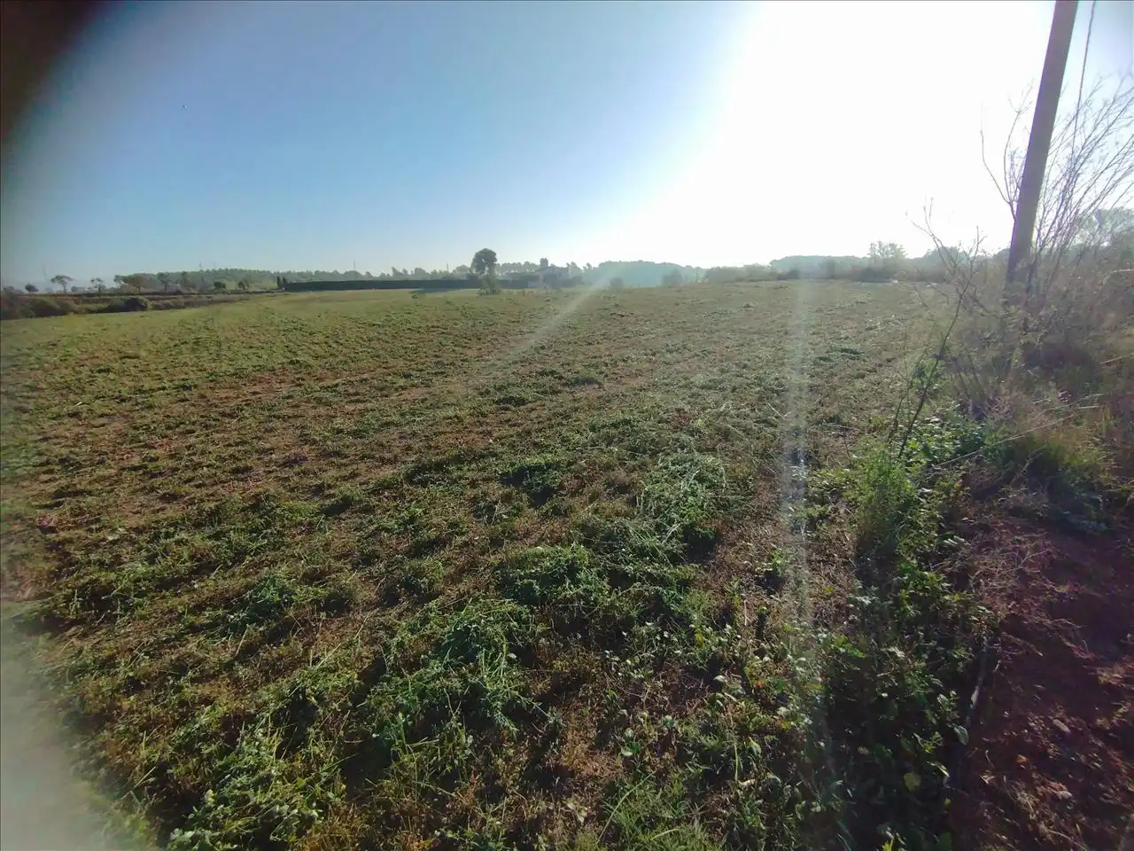 Terreno residencial en venta en DESARROLLO INDUSTRIAL, 8/087, imagen 7