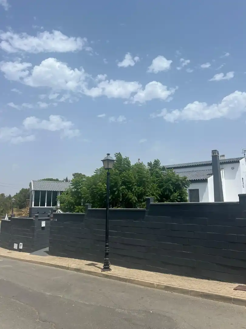 Casa con jardín en venta en Calle Malva urbanización Pinares de Lepe, imagen 30