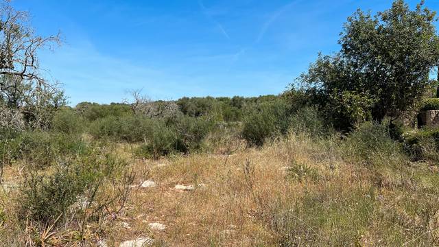Terreno residencial en Venta en S'Alquería Blanca - Calonge