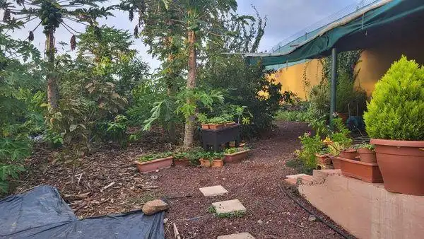 Jardí de Finca rústica en venda en Santa María de Guía de Gran Canaria