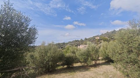 Finca Rustica en Selva donde podrás construir tu chalet