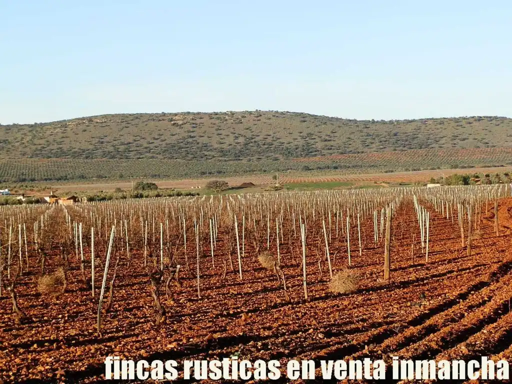 Terreno rústico en venta en Moral de Calatrava, imagen 15