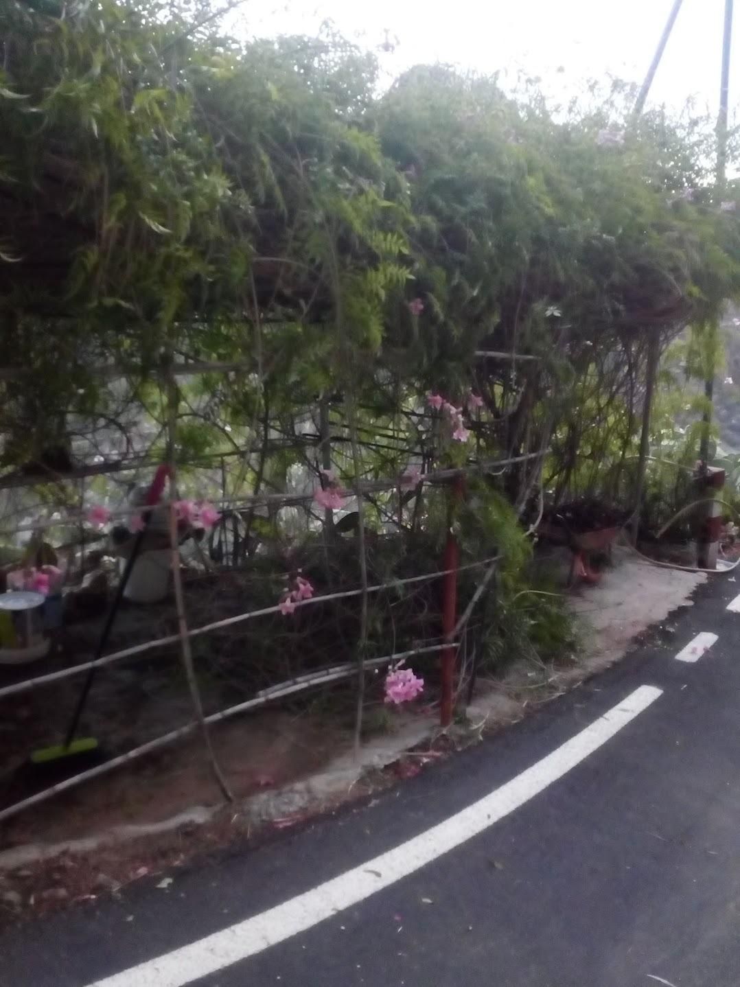 Finca rústica en venda a Lugar Diseminado Ronda