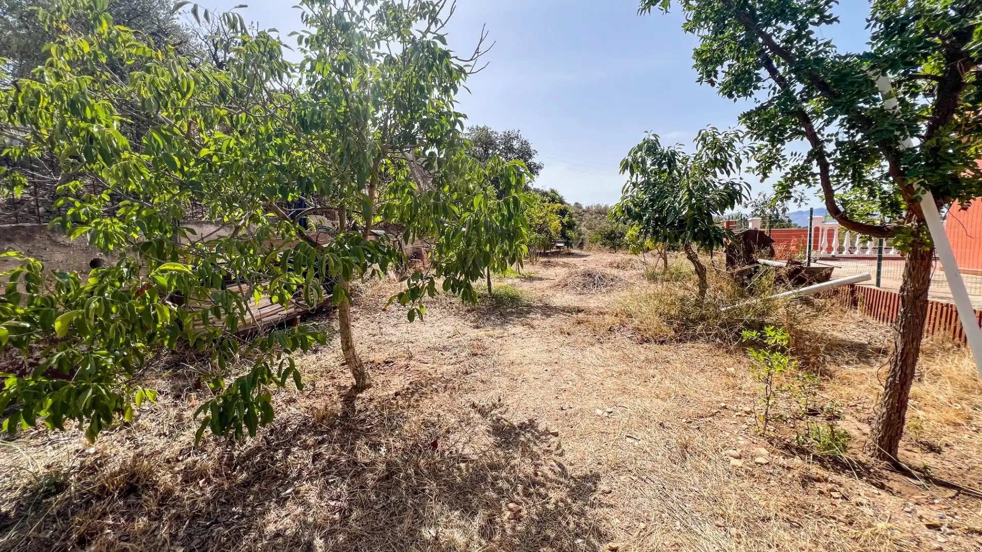 Houses for sale in Campanillas