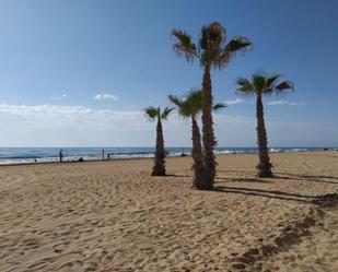 Vista exterior de Apartament de lloguer en Alicante / Alacant amb Aire condicionat, Jardí privat i Terrassa