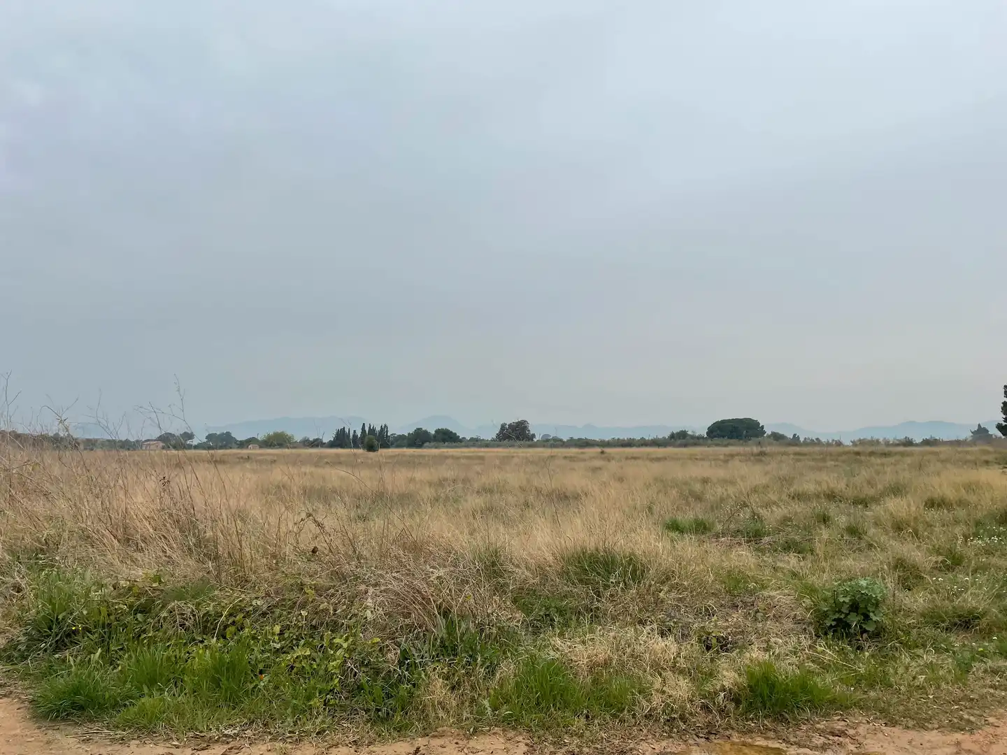 Rural land for sale in Carrer Cinc 7
