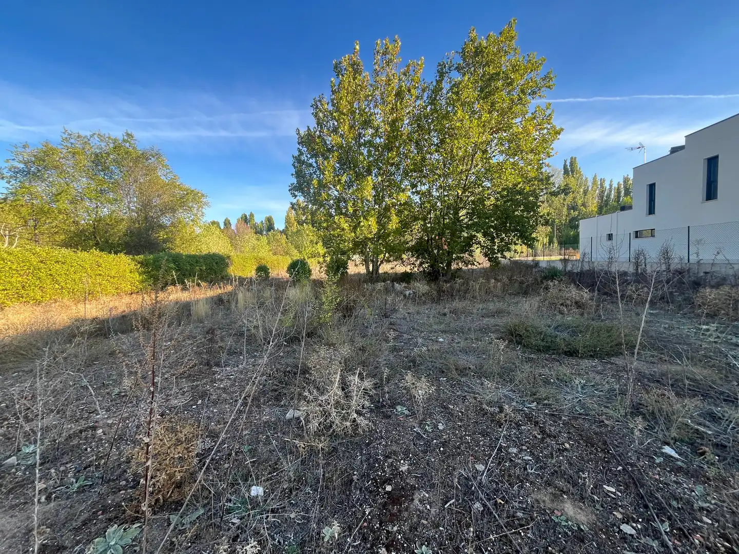 Terreno residenziale in vendita a Camino Pesqueruela 9, imagen 13