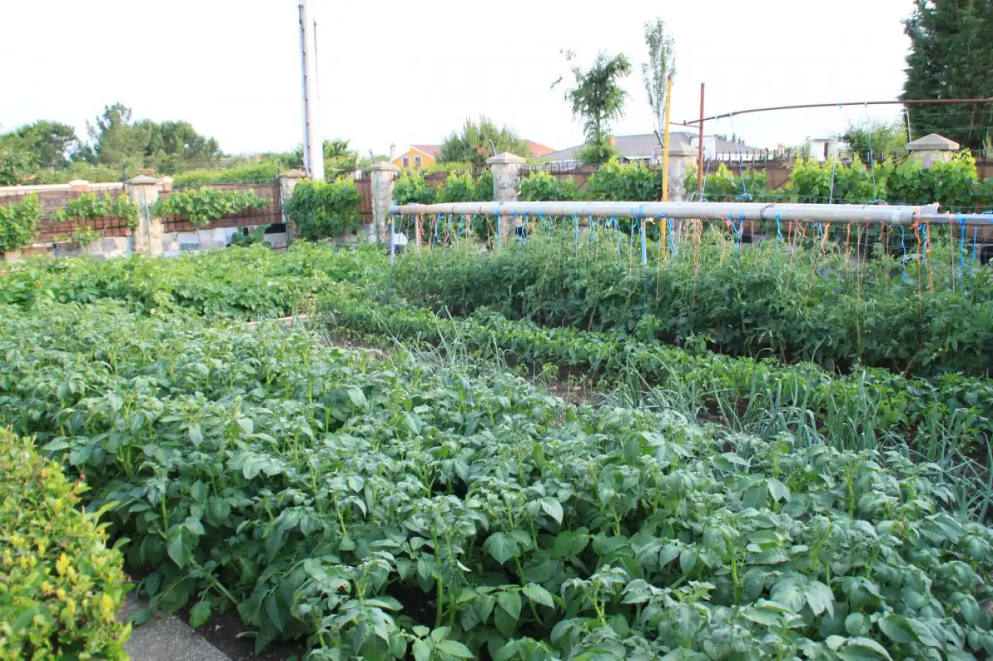 Jardín de Finca rústica en venta en Grijota con Terraza