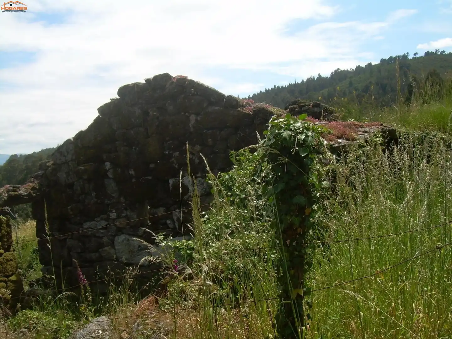Vista exterior de Casa o chalet en venta en A Cañiza  