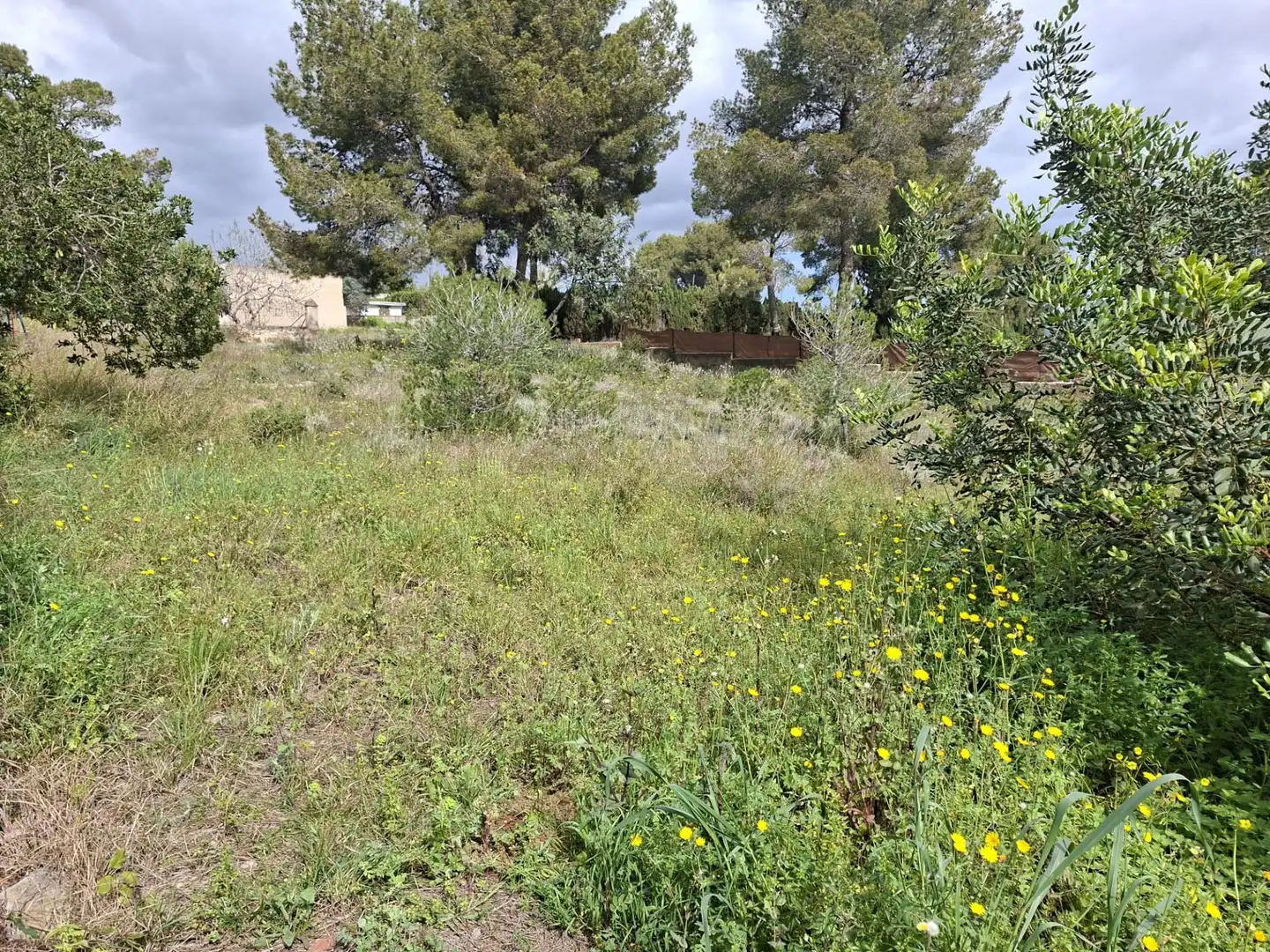 Terrain rustique à vendre à Camí de Paterna - Lloma del Calderer, imagen 7