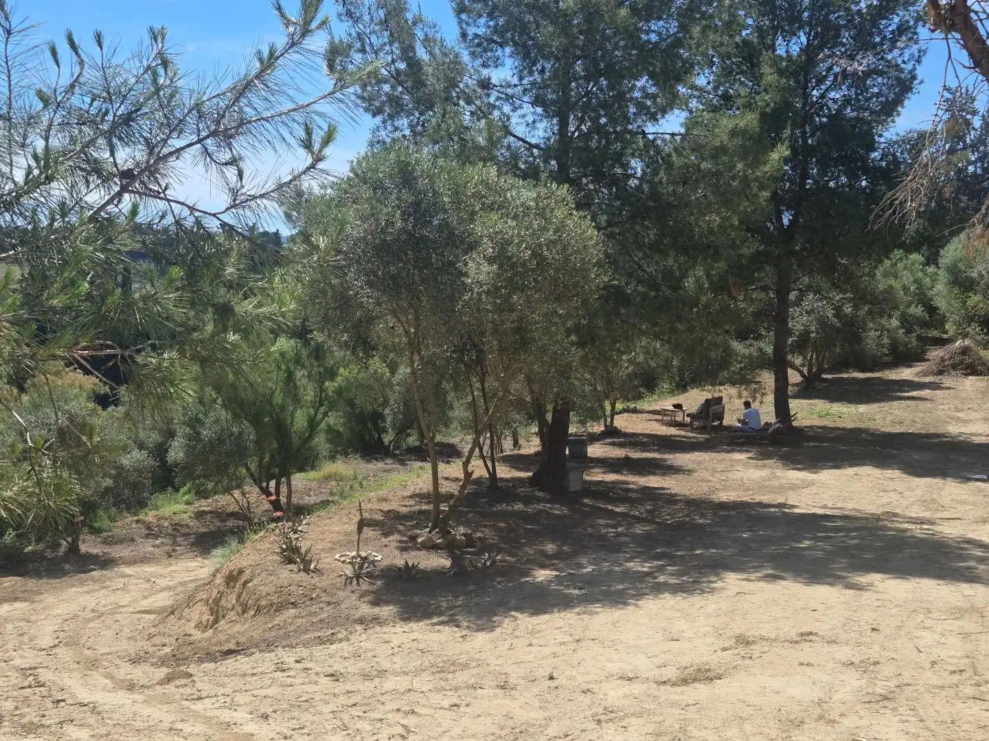 Terreno en venta en El Cigarral - Dehesa - Borrajo