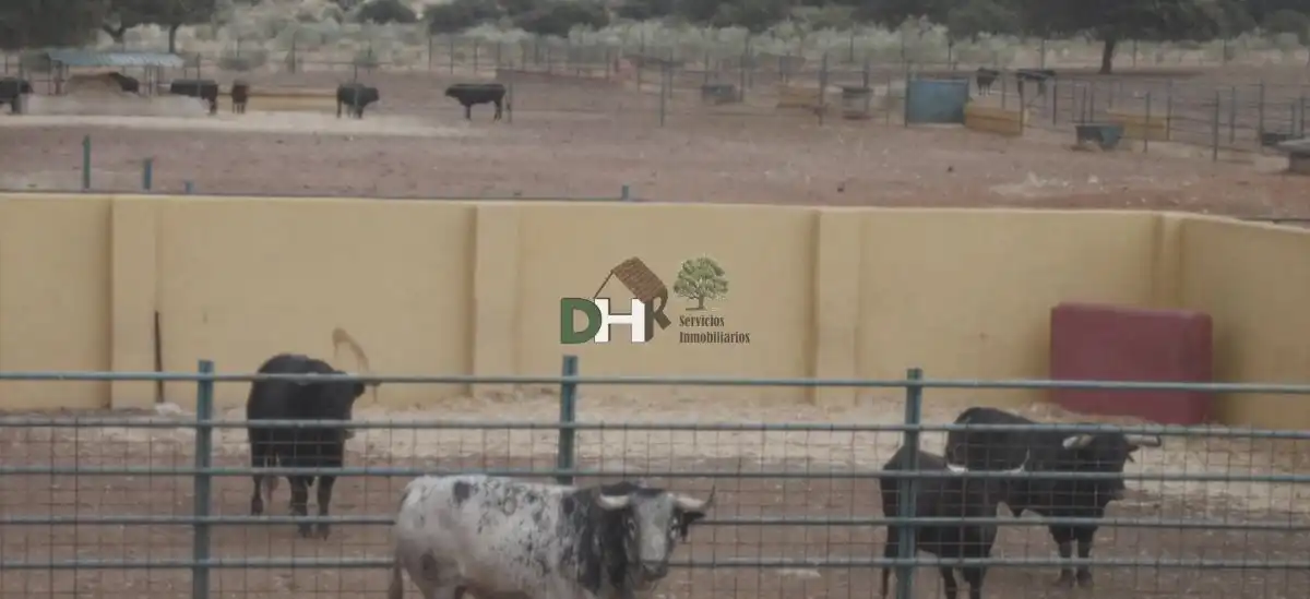 Finca rústica en venta en Torrejón el Rubio