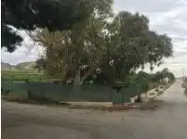 Rustikales Grundstück zum Verkauf in Jacarilla, imagen 4