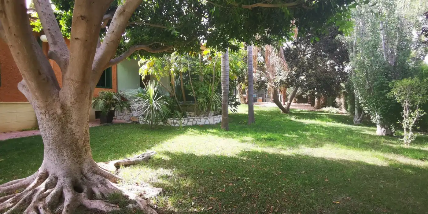 Jardí de Casa o xalet en venda en Elche / Elx amb Aire condicionat, Jardí privat i Terrassa