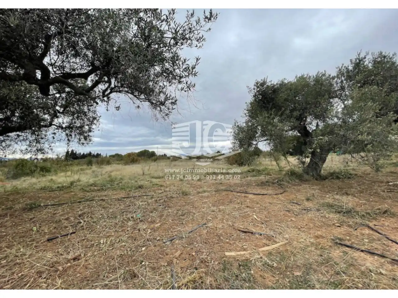 Terreno residencial en venta en Poligono POLIGO 31, imagen 3