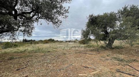 Photo 3 of Industrial land for sale in Poligo 31, Port - Horta de Santa María, Tarragona