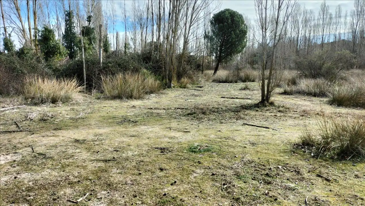Residential land for sale in SECTOR 9 LA ESTACION, imagen 7