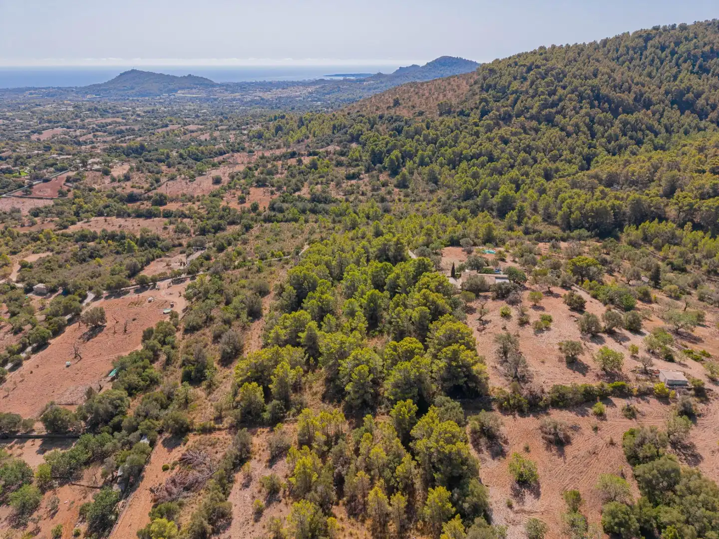Rural land for sale in Son Servera Poble, imagen 9