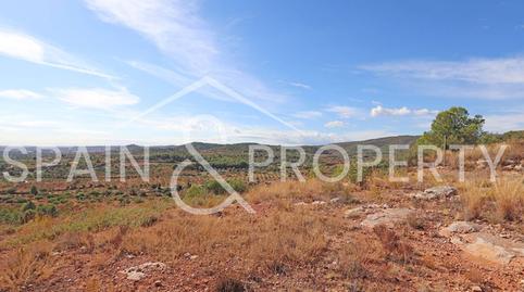 Foto 3 de Terreny industrial en venda a Las Pedrizas, Valencia