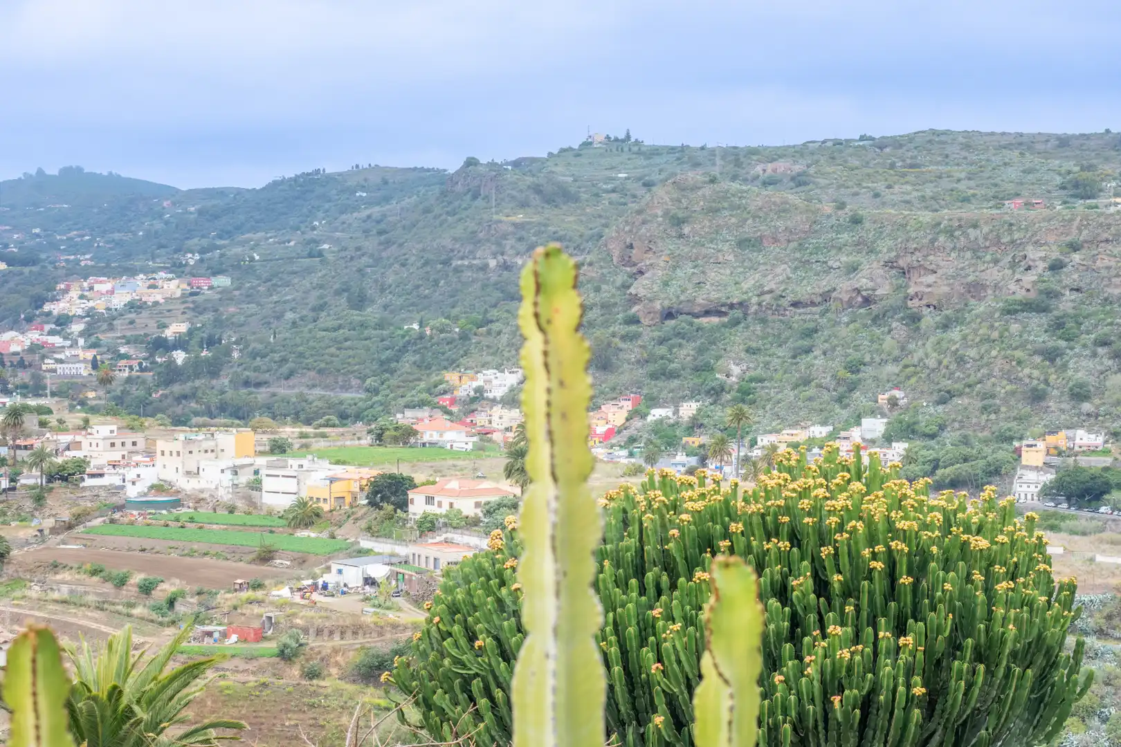 Vista exterior de Casa o chalet en venta en Santa Brígida con Jardín privado, Terraza y Trastero