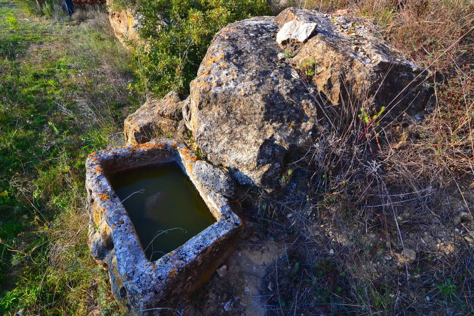Rural land for sale in Corbera d'Ebre, imagen 19