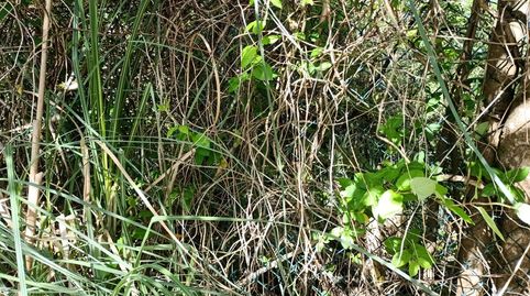 Foto 5 de Residencial en venda a Ametzabide Kalea, 64, Mungia, Bizkaia