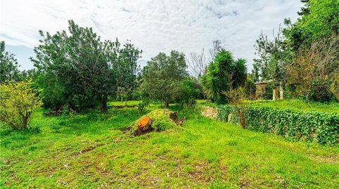 Foto 3 de Finca rústica en venta en Peguera, Calvià