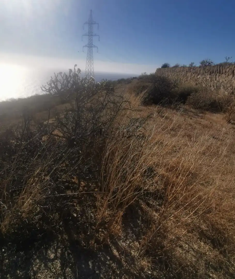 Rural land for sale in Carretera Güimar-Arafo, imagen 5