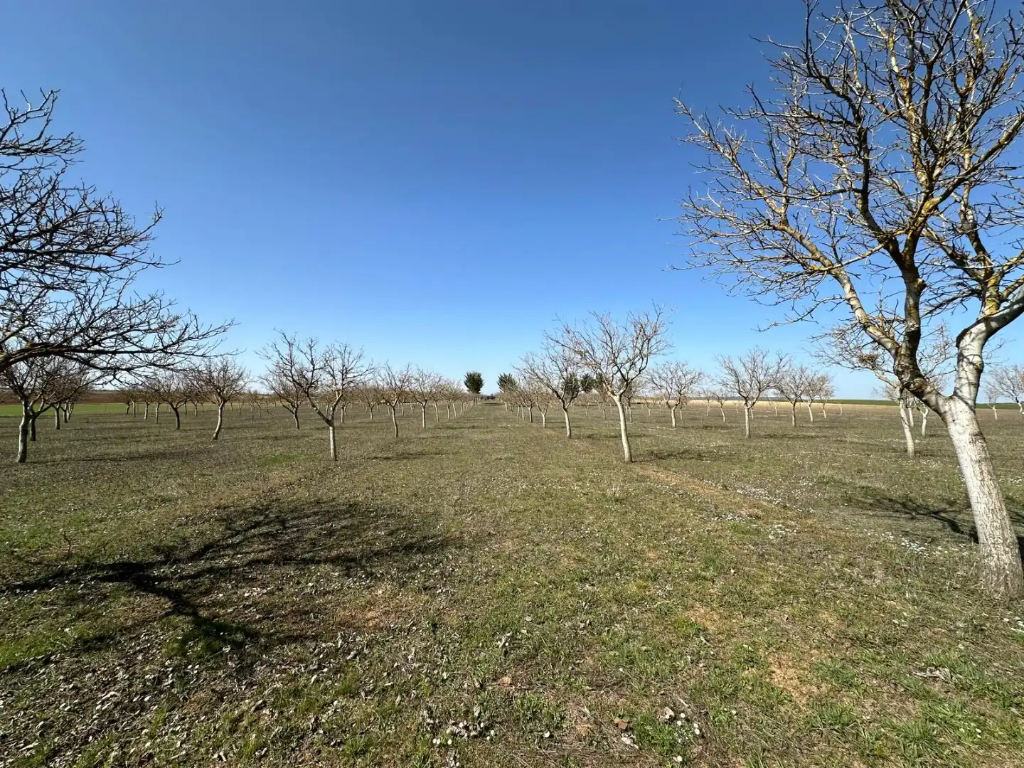 Houses for sale in Arlanzón  with Private garden