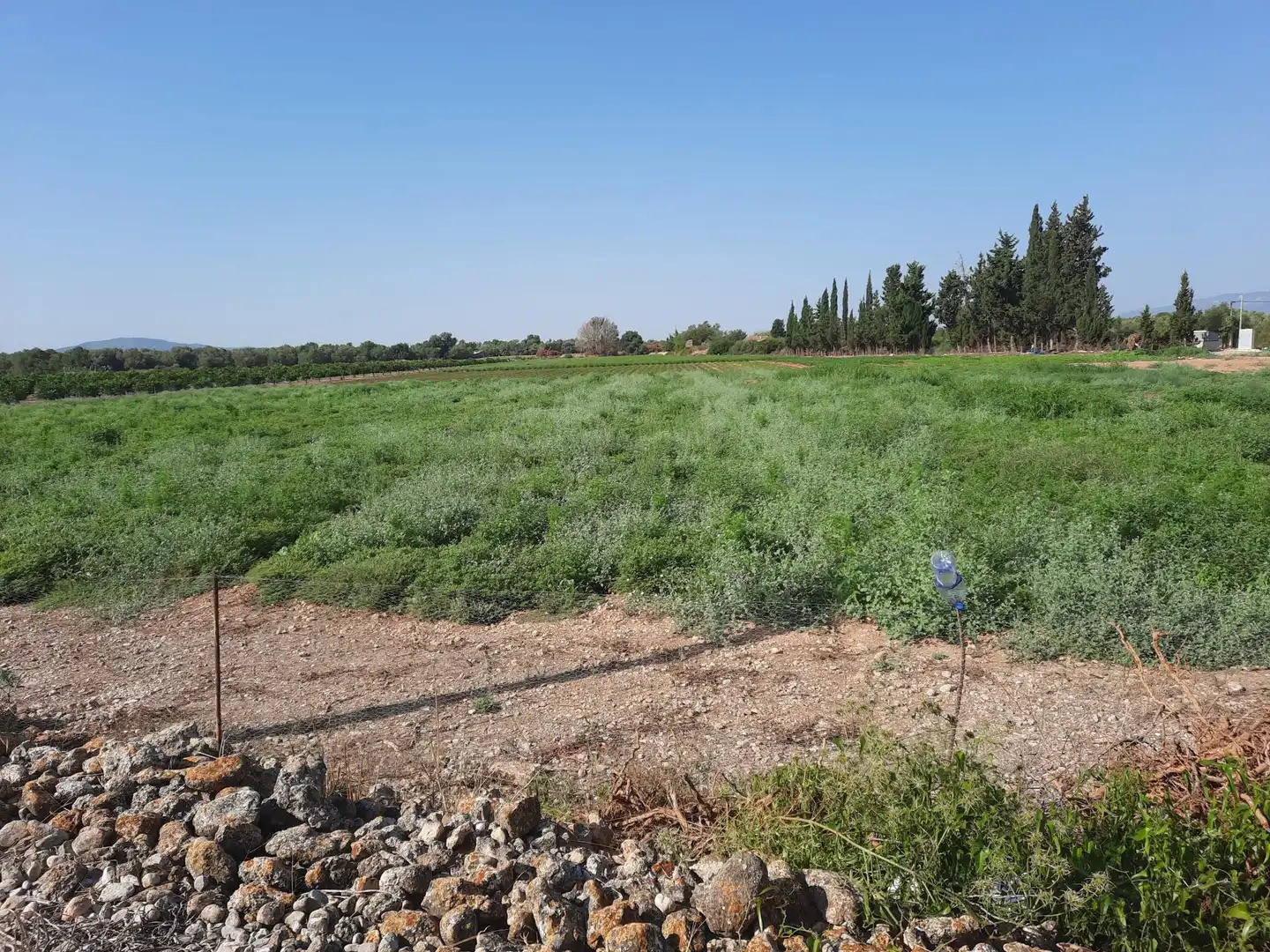 Rustikales Grundstück zum Verkauf in Santa Bàrbara, imagen 5