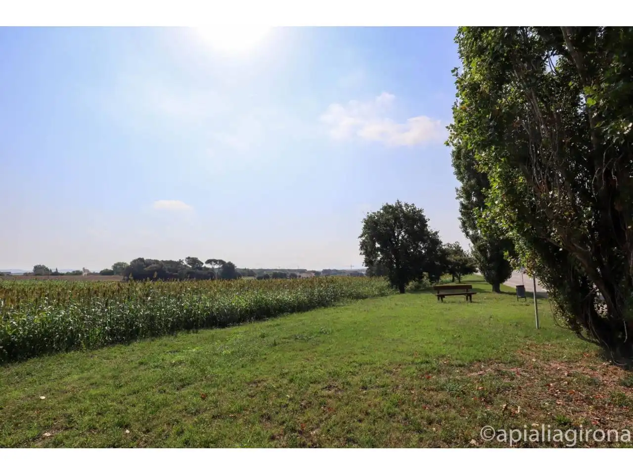 Terreno residencial en venta en Calle Llevant, imagen 8