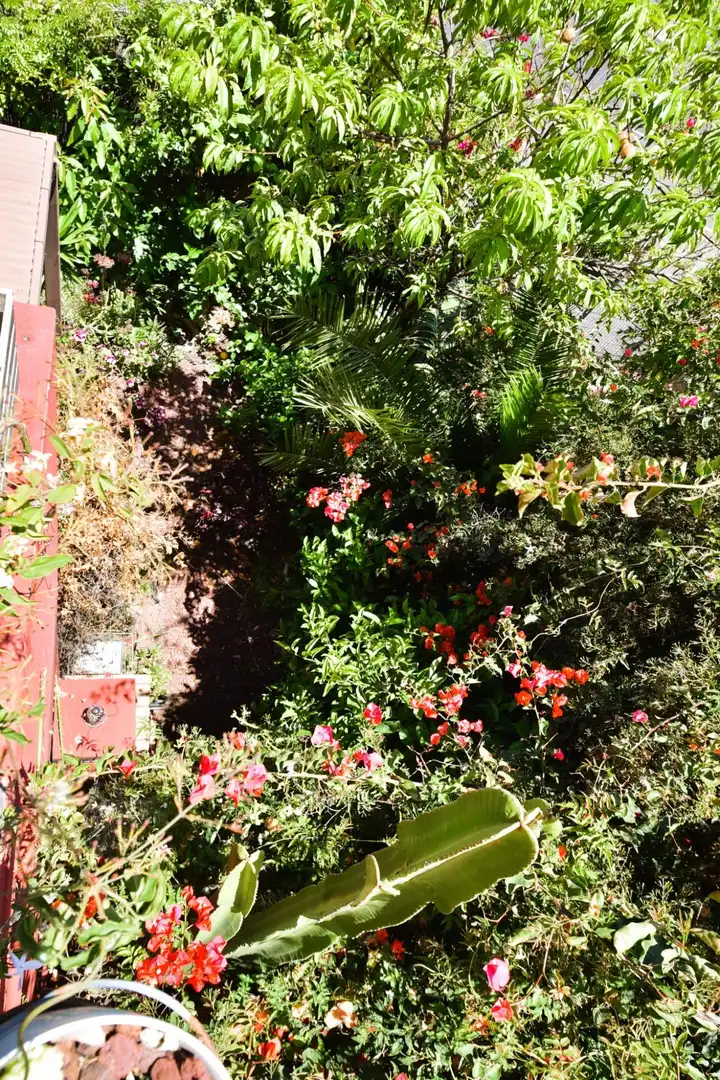Jardín de Casa adosada de alquiler en San Cristóbal de la Laguna con Aire acondicionado, Calefacción y Jardín privado