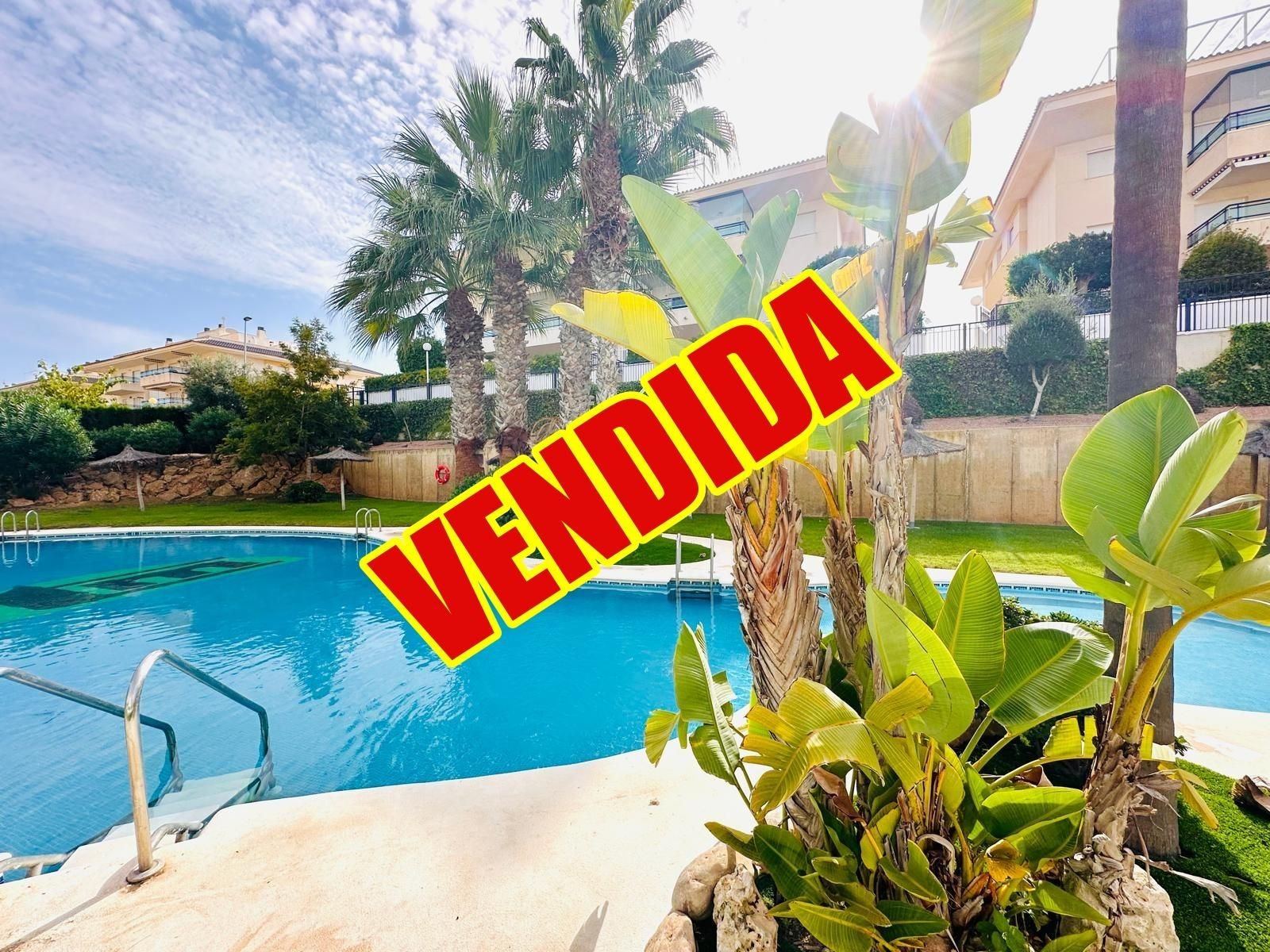 Garden of House or chalet for sale in Pilar de la Horadada  with Air Conditioner, Private garden and Terrace