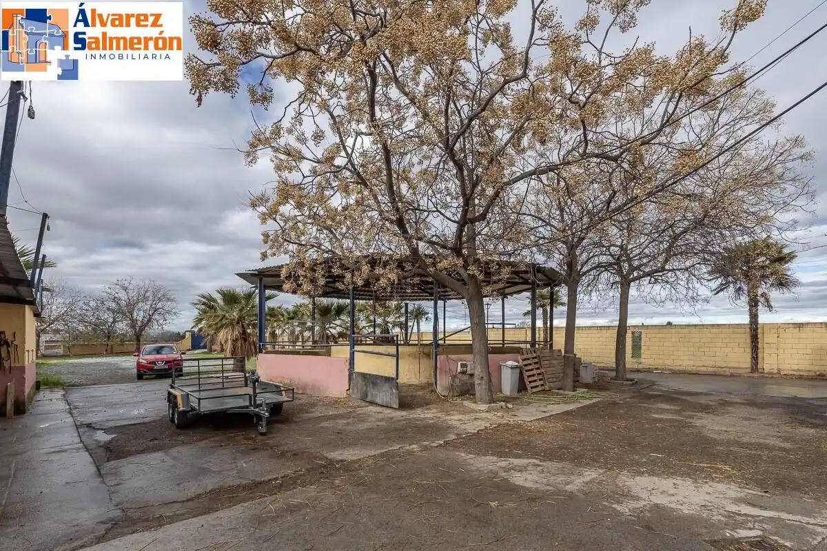 Casa o xalet en venda en La Zubia amb Jardí privat