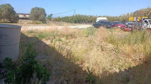 Foto 3 de Finca rústica en venta en Carretera de Sanlúcar - Sudamérica, Cádiz