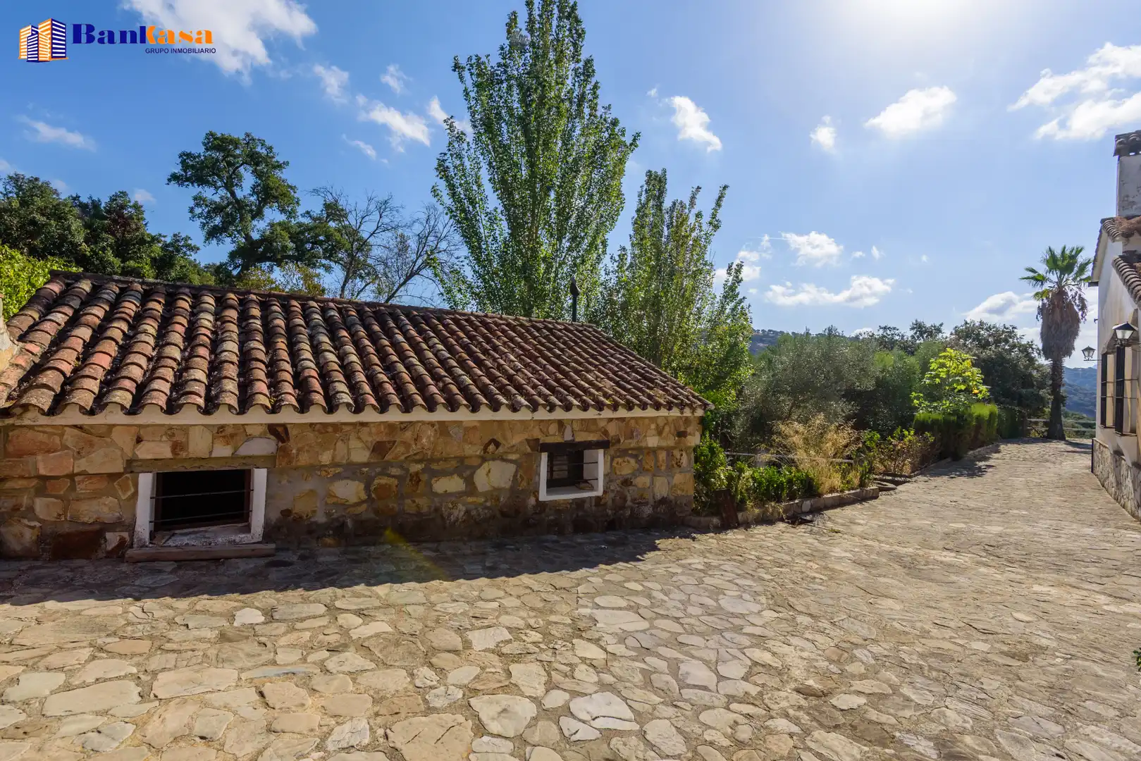 Vista exterior de Casa o xalet en venda en Cortes de la Frontera amb Calefacció, Jardí privat i Moblat