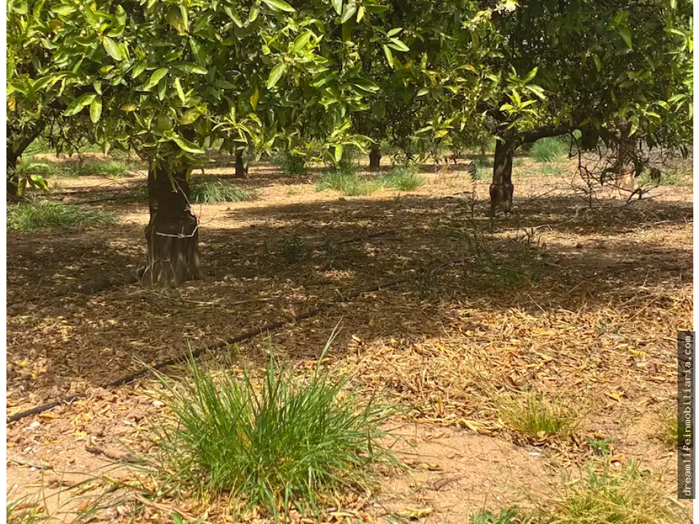 Terrenys i solars en venda a Playa - Ben Afeli, imagen 2