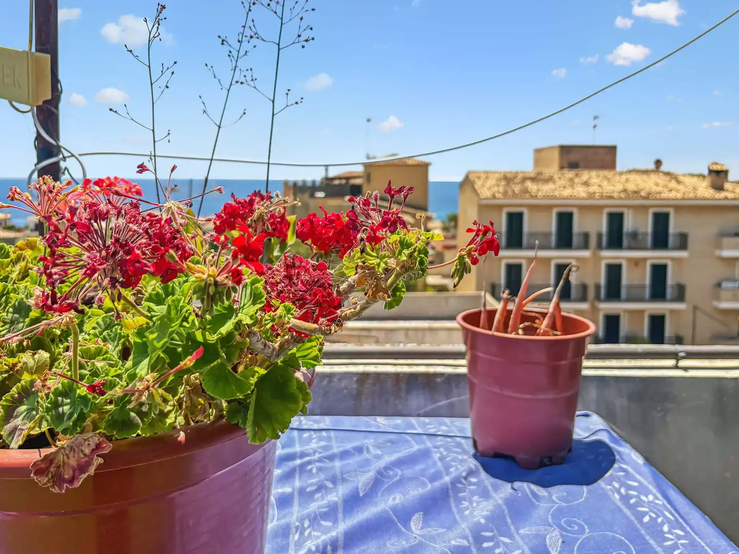 Apartament en venda a Porto Cristo , Manacor
