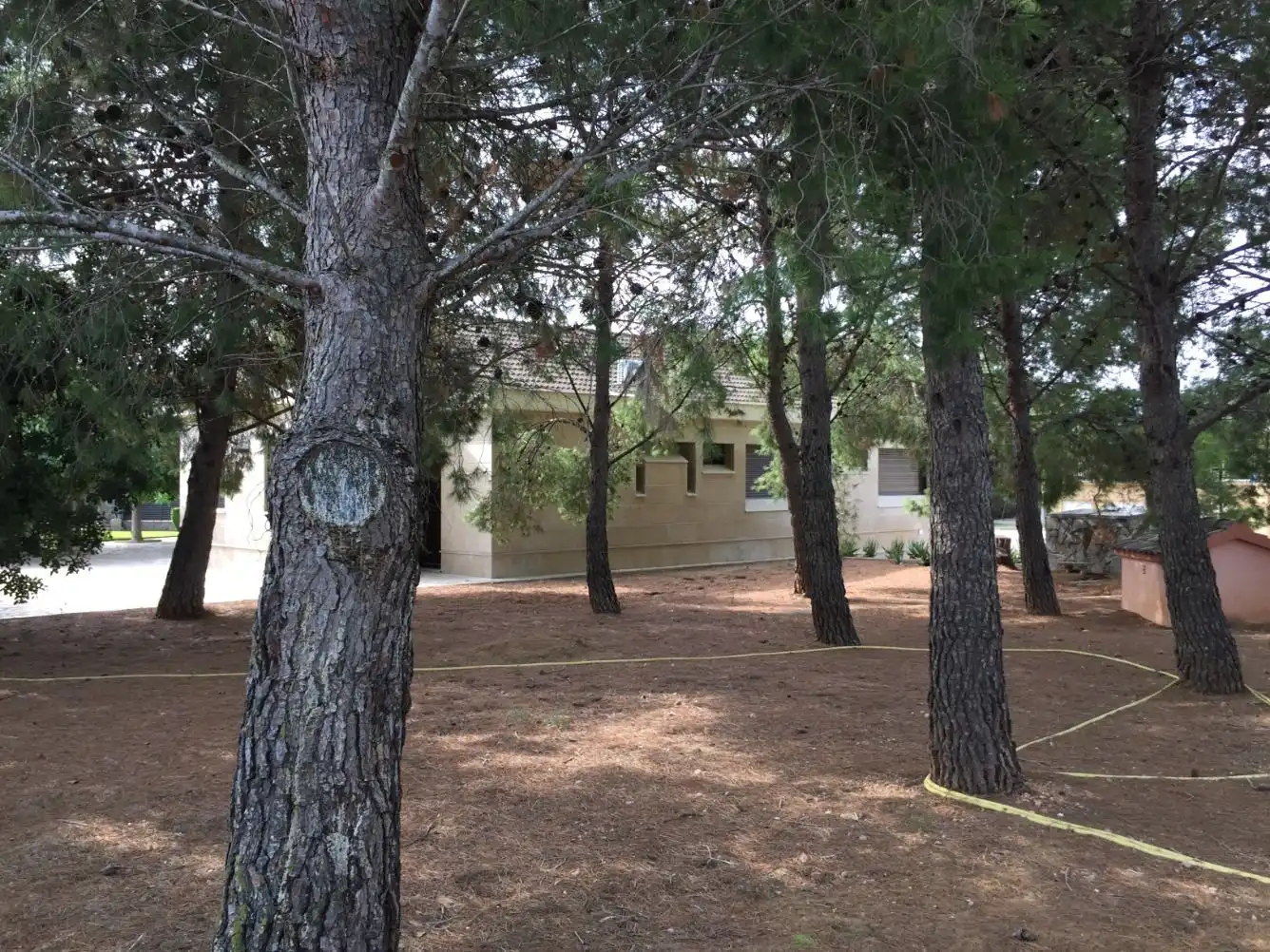 House with garden for sale in Els Reguers c15, imagen 22