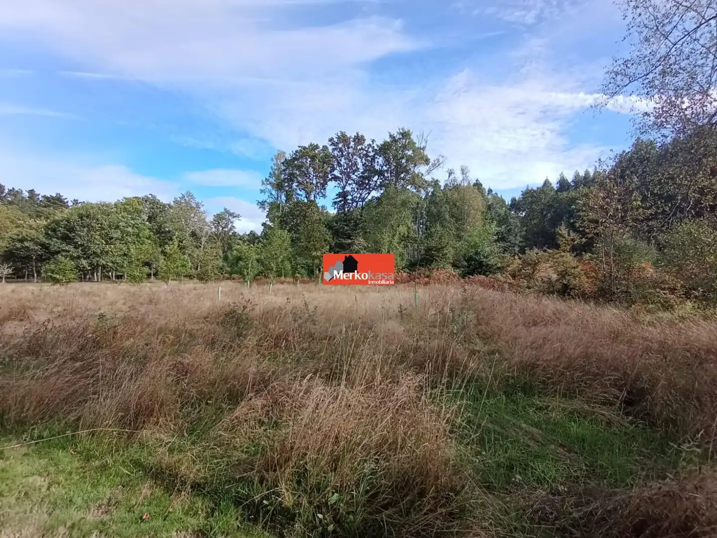 Finca rústica en venda en Begonte amb Jardí privat