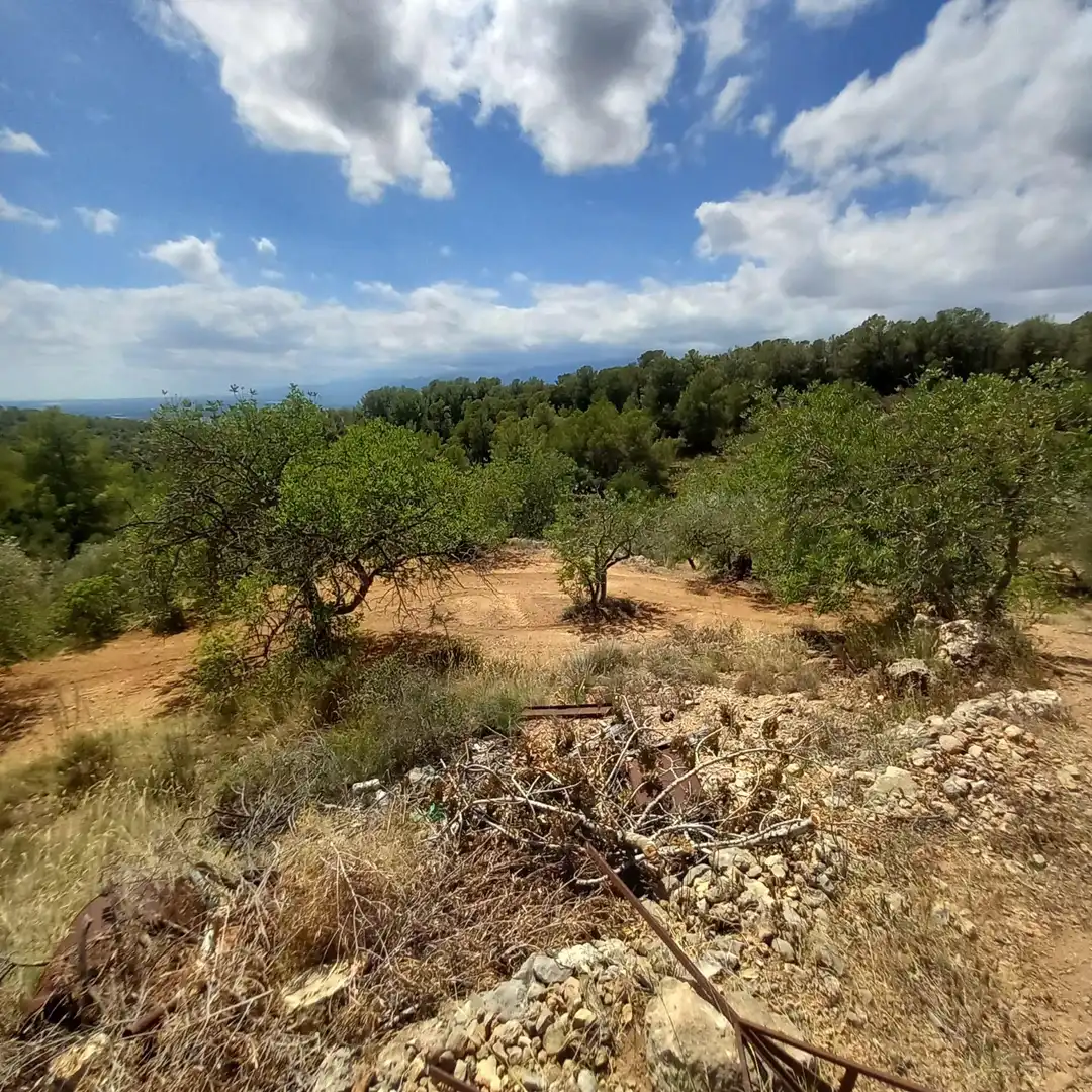 Terrain rustique à vendre à Bítem, imagen 10