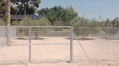 Foto 4 de Garatge de lloguer a Lugar Peña Aguilas Urbanizable, 9016, Peña de las Águilas, Elche / Elx