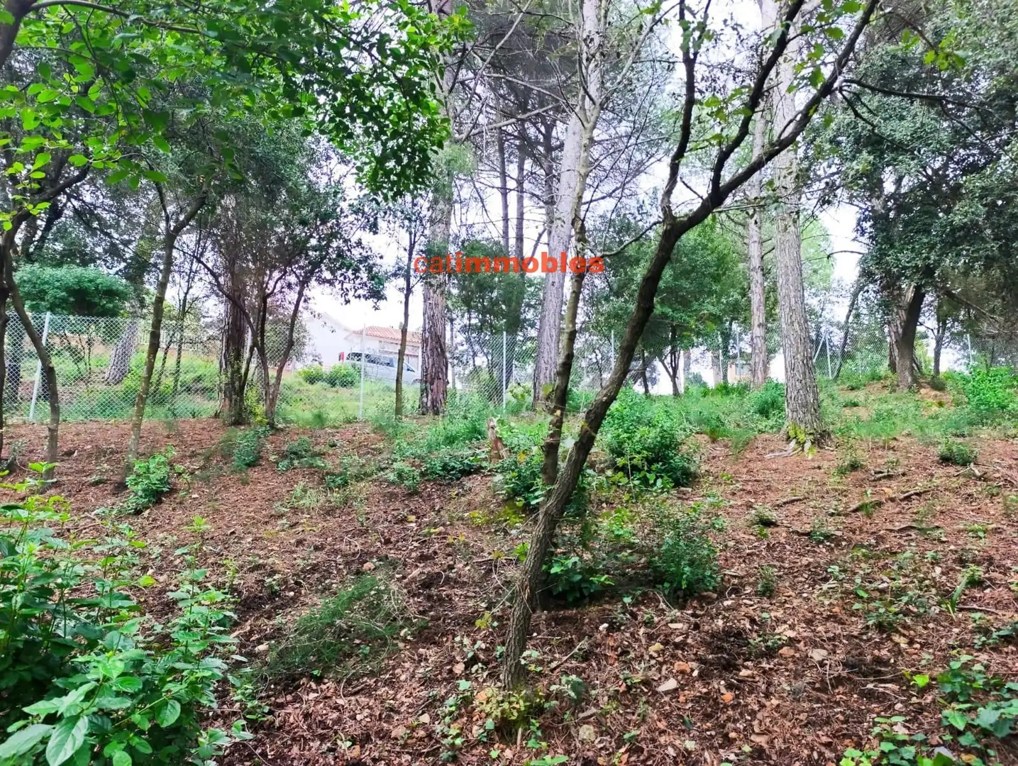 Terreny residencial en venda a Rosa Mariné, imagen 28