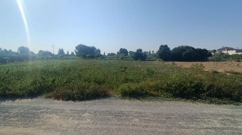 SE VENDE PARCELA RÚSTICA EN LORQUÍ, imatge 3