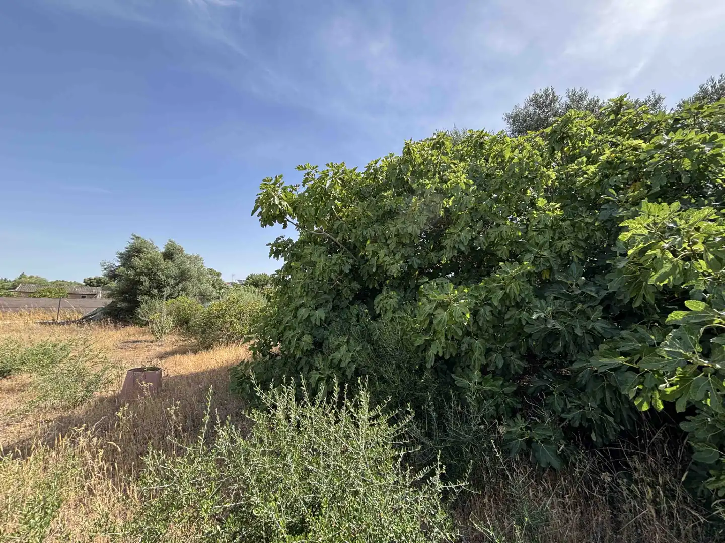 Terreny rústic en venda a Medina Sidonia, imagen 26