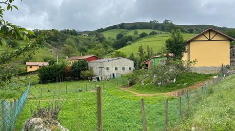 FINCA EDIFICABLE CON CUADRA CERCA DE ARRIONDAS, imagen 3