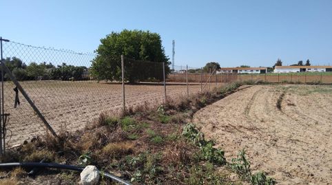 PARCELA INDIVISA DE  3.000M2 EN PAGO DE HUMO