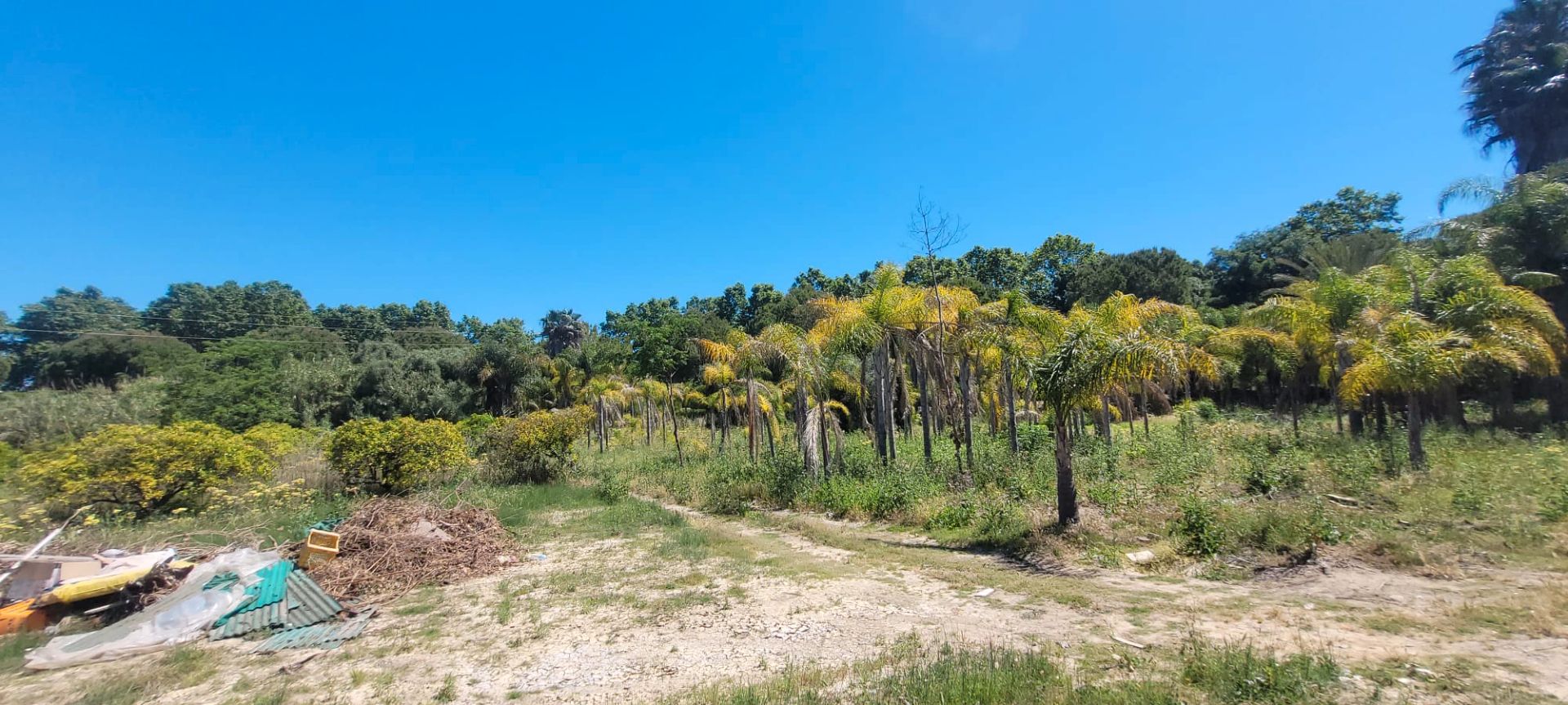 Land for sale in Sotogrande