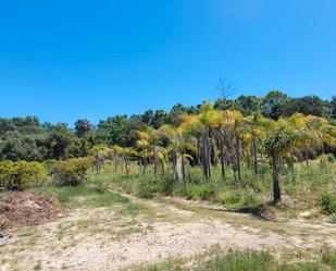 Land for sale in Sotogrande