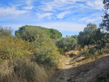 Rural land for sale in Cerro Alarcón
